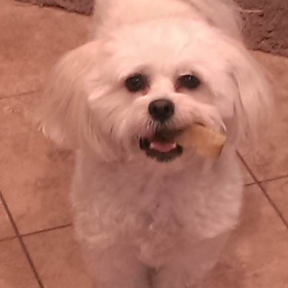 Meet your Posher, Dana - Picture 7 of 8